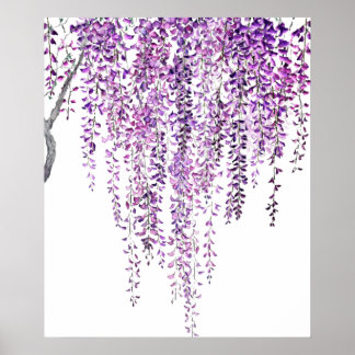 lila Glyzinie in Blüte Poster