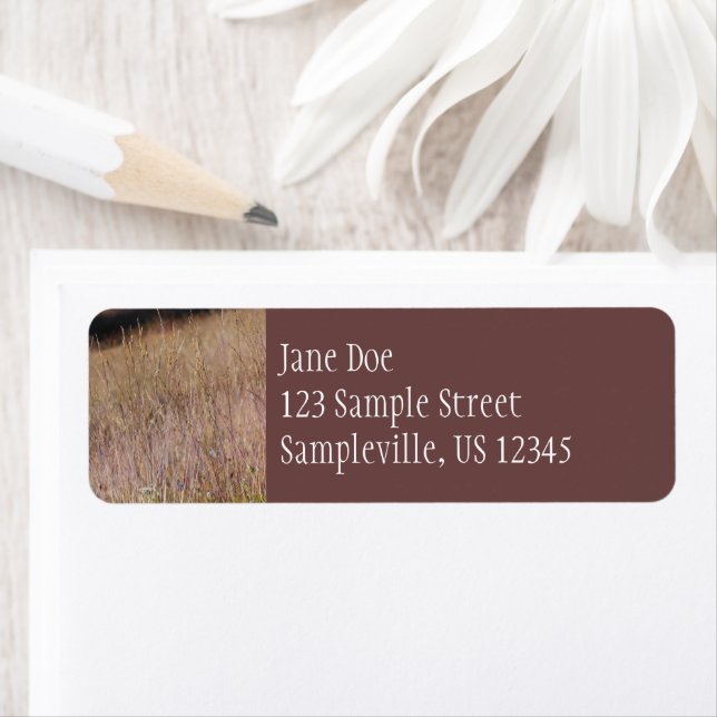 Lila Gras und Wildblumen (Insitu)