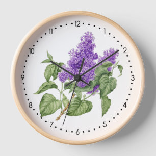 Lila Green Lilac Blume Botanisch Uhr