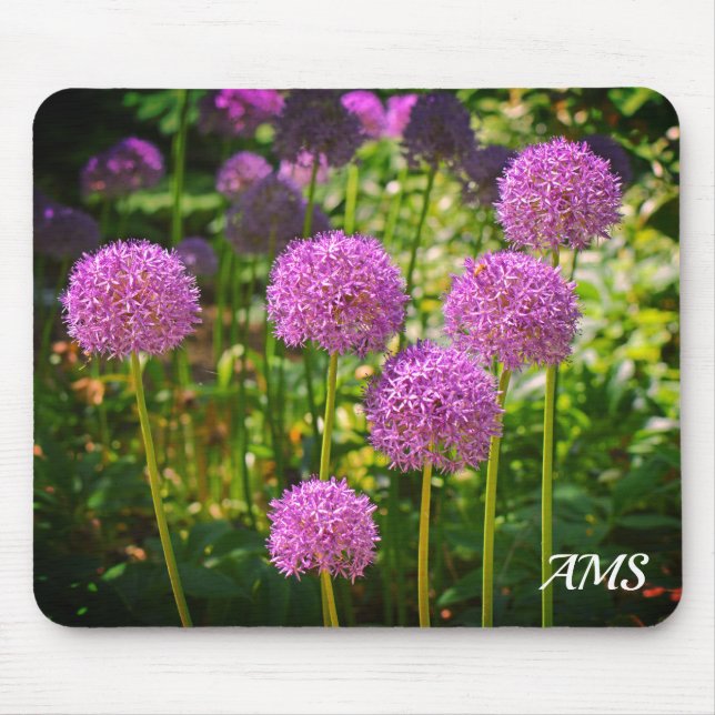 Lila Gruppe Allium Blume Monogramm Mousepad (Vorne)