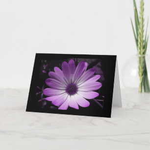 Lila Grußkarte der Blume Daisy Karte