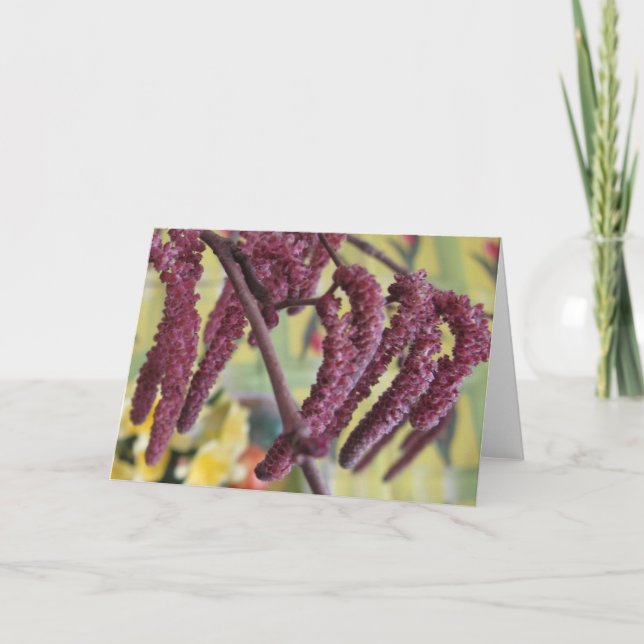 Lila Haselnuss im Frühjahr Feiertagskarte (Vorderseite)