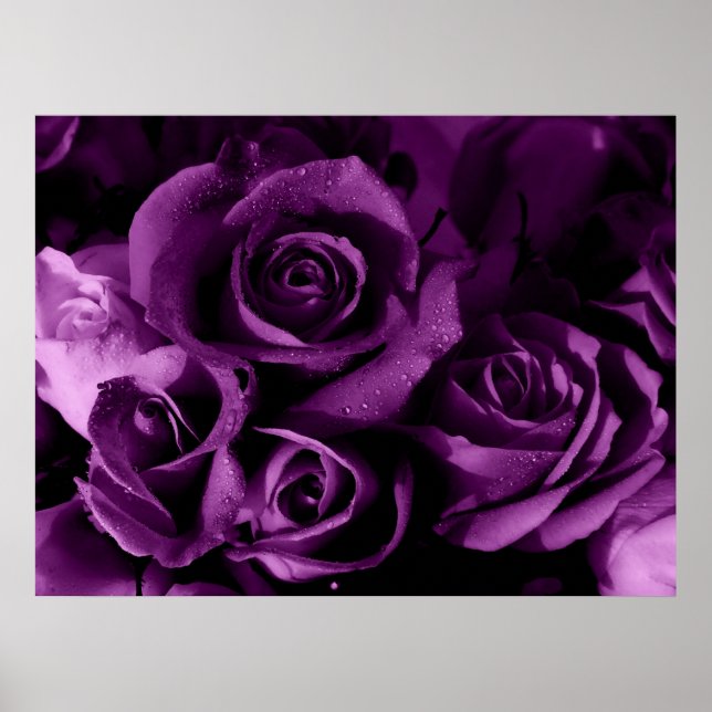 Lila Haze Poster (Vorne)