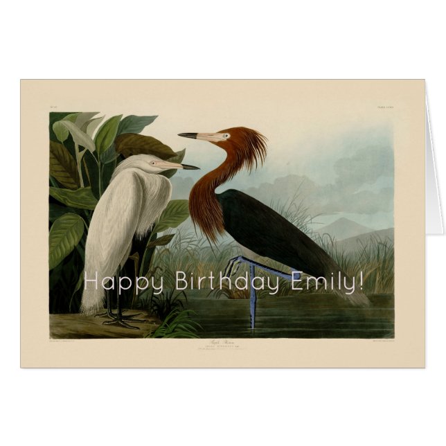 Lila Heron Audubon Bird Wildlife Painting (Vorderseite (Horizontal))