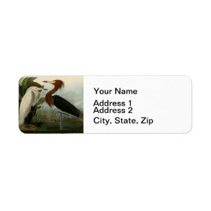 Lila Heron Audubon Bird Wildlife Painting
