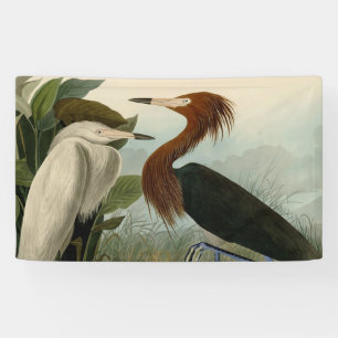 Lila Heron Audubon Bird Wildlife Painting Banner