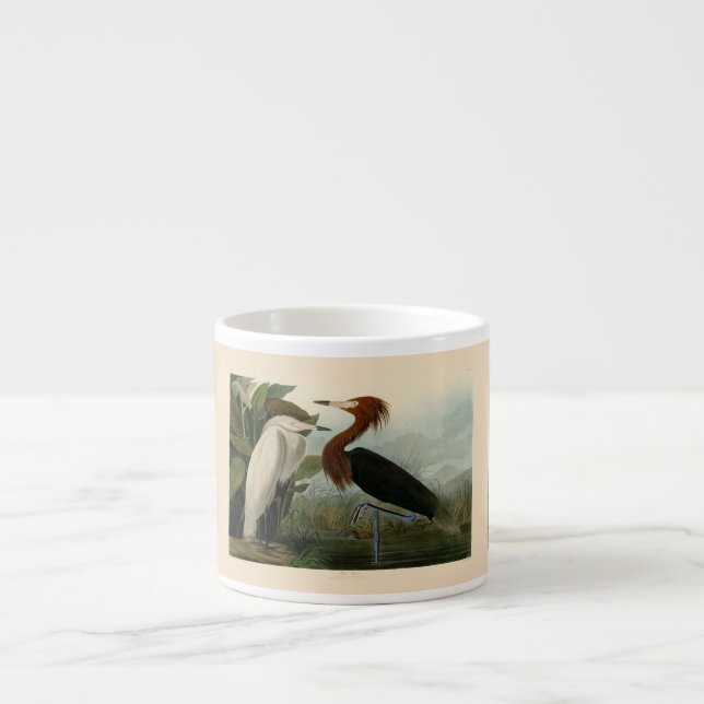 Lila Heron Audubon Bird Wildlife Painting Espressotasse (Vorderseite)