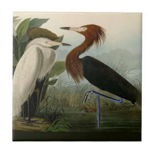 Lila Heron Audubon Bird Wildlife Painting Fliese