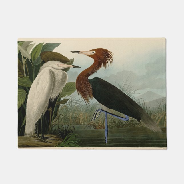 Lila Heron Audubon Bird Wildlife Painting Fußmatte (Vorderseite)