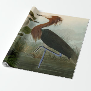 Lila Heron Audubon Bird Wildlife Painting Geschenkpapier
