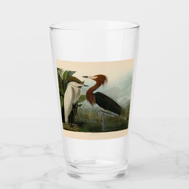 Lila Heron Audubon Bird Wildlife Painting Glas (Vorderseite)