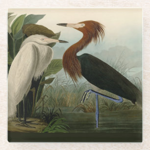 Lila Heron Audubon Bird Wildlife Painting Glasuntersetzer