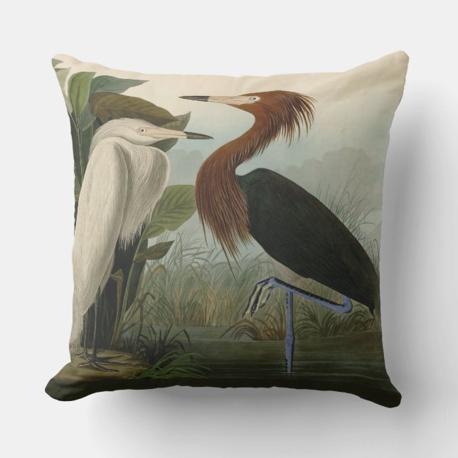 Lila Heron Audubon Bird Wildlife Painting Kissen (Vorderseite)