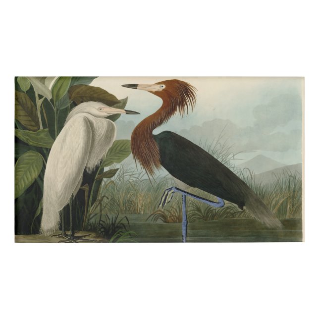 Lila Heron Audubon Bird Wildlife Painting Namenschild (Vorderseite)