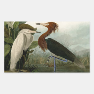 Lila Heron Audubon Bird Wildlife Painting Rechteckiger Aufkleber