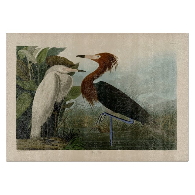 Lila Heron Audubon Bird Wildlife Painting Schneidebrett (Vorderseite)
