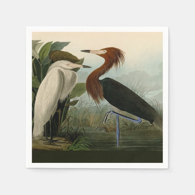 Lila Heron Audubon Bird Wildlife Painting Serviette (Vorderseite)