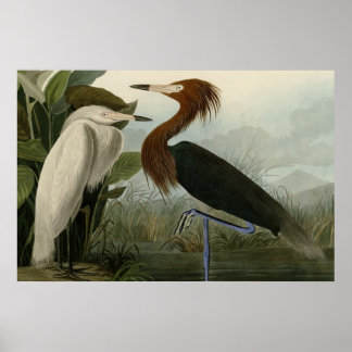 Lila Heron Poster