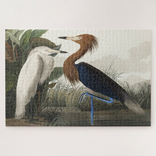 Lila Heron von Vögeln Amerikas Puzzle (Horizontal)