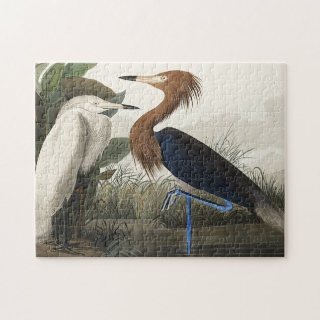 Lila Heron von Vögeln Amerikas Puzzle (Horizontal)