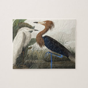 Lila Heron von Vögeln Amerikas Puzzle