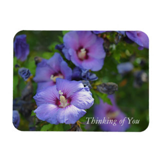 Lila Hibiskus Garden Blume Denken Sie an Sie Magnet