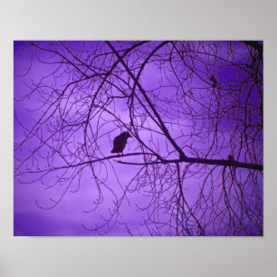 Lila Himmel Poster
