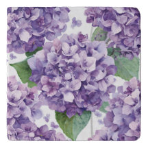 Lila Hortensie Wasserfarbe Floral Lavendelblüte