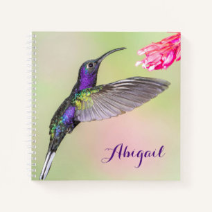 Lila Hummingbird Beautiful Personalisiert Notizbuch