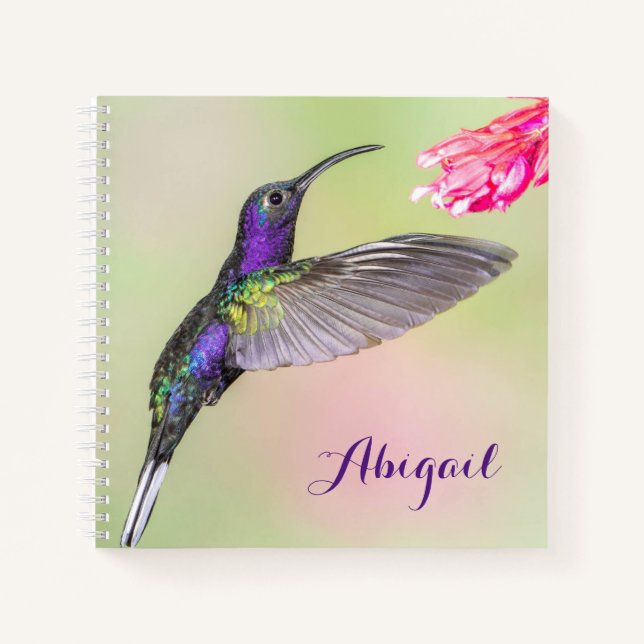 Lila Hummingbird Beautiful Personalisiert Notizbuch (Vorderseite)