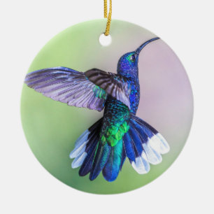 Lila Hummingbird Flying Monogram Name Keramik Ornament