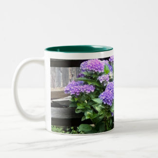 LILA HYACINTH-TASSE ZWEIFARBIGE TASSE