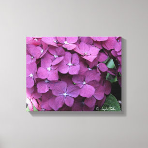 Lila Hydrangea Blooms Leinwand