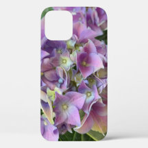 Lila Hydrangea