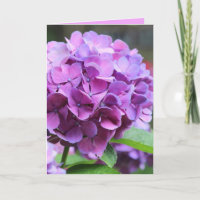 Lila Hydrangea-Grußkarte