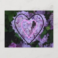 Lila Hydrangea in Herzkrankheiten Postkarte