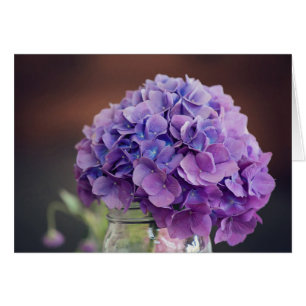 Lila Hydrangea in Mason Jar Fotografie