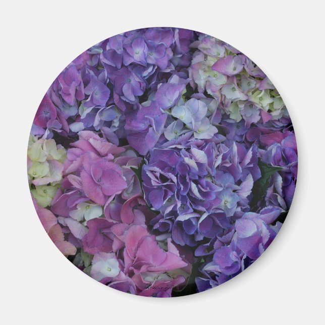 Lila Hydrangea Magnet (Vorne)
