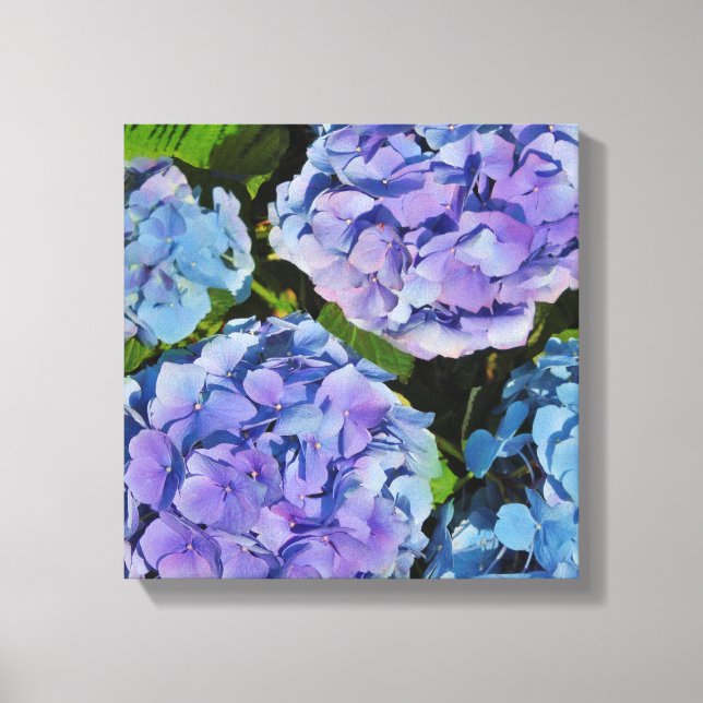 Lila Hydrangea-Pflanze Leinwanddruck (Vorderseite)