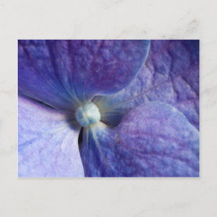 Lila Hydrangea-Veranstaltung und Hochzeitsankündig Ankündigungspostkarte