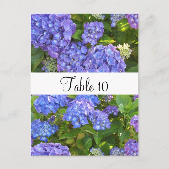 Lila Hydrangeas-Besondere Anlass-Tafel Postkarte (Vorderseite)