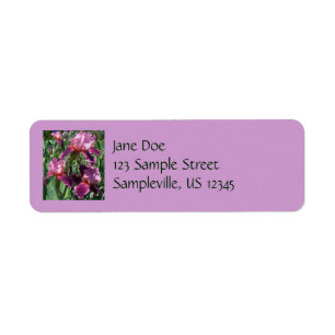 Lila Ire Spring Floral