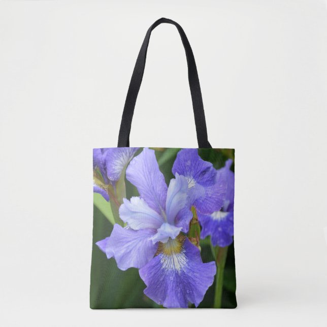 Lila Iris (Vorderseite)