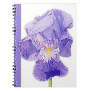 Lila Iris 2-Notebook Notizblock