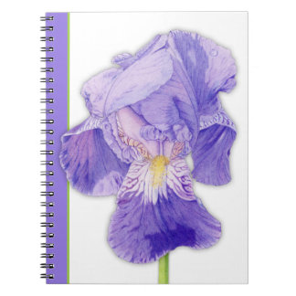 Lila Iris 2-Notebook Notizblock