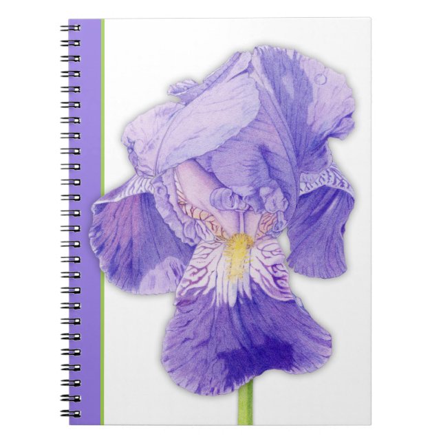 Lila Iris 2-Notebook Notizblock (Vorderseite)