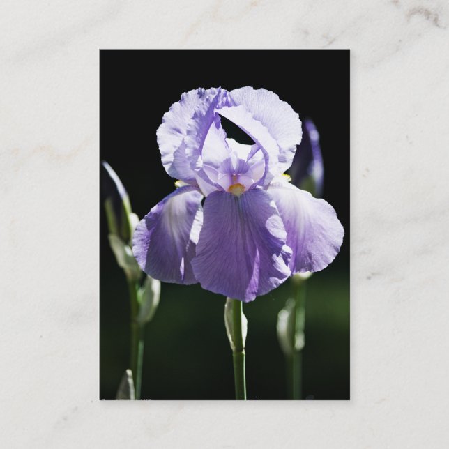 Lila Iris 8393 Mini Print Visitenkarte (Vorderseite)