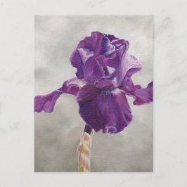 Lila Iris Art Postkarte