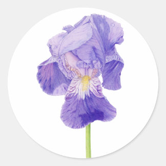 Lila Iris-Aufkleber Runder Aufkleber