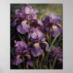 Lila Iris Blume Art Print Poster